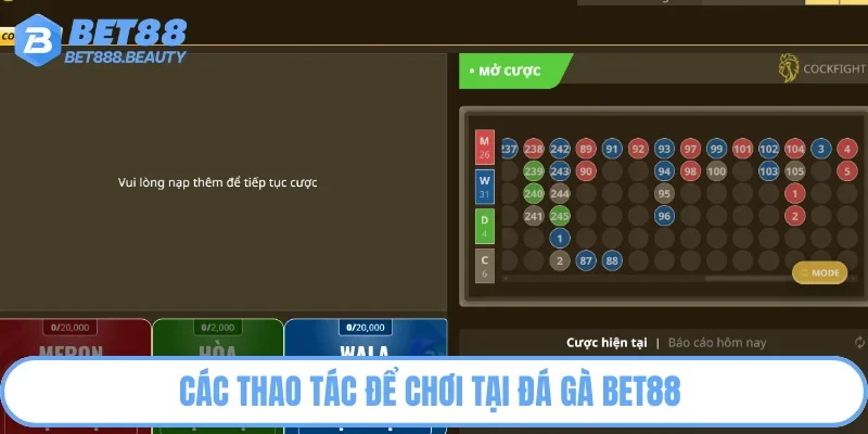 Các thao tác để chơi tại đá gà Bet88 